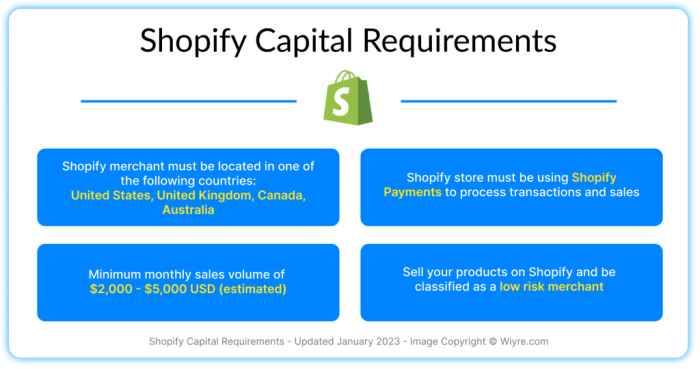 Everything You Need to Know About Shopify Capital - Wiyre