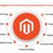 Magento eCommerce Development: Build Online Store in 2024