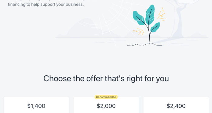 Shopify Capital Review 2022: How It Works, Rates, and More